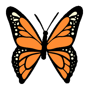 butterfly animation
